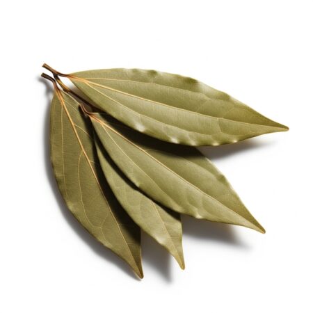 Indian Bay Leaf